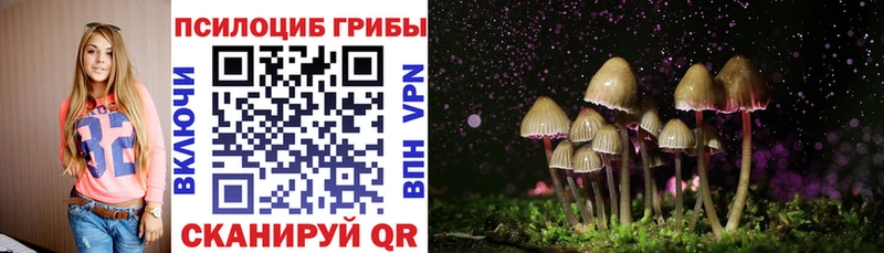 Купить закладки  Грязи  Псилоцибиновые грибы Magic Shrooms 